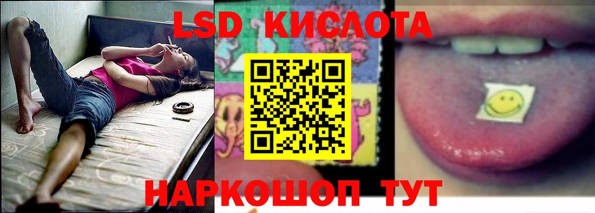 LSD-25 экстази кислота Кингисепп