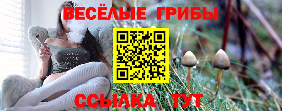 Псилоцибиновые грибы ЛСД  закладки  Кингисепп  Вход с VPN  Псилоцибиновые грибы Cubensis 