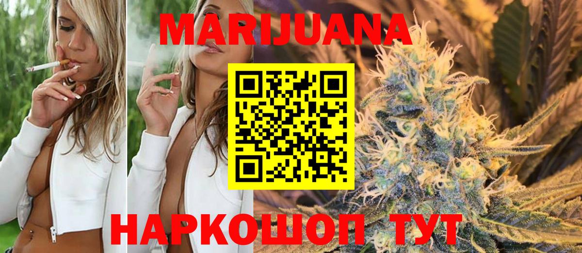 Канабис сатива Кингисепп